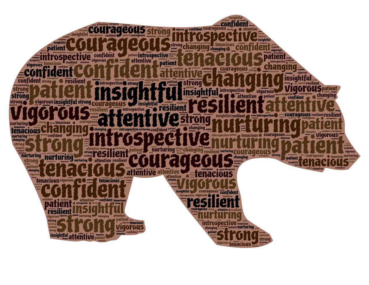 bear-656435_1280