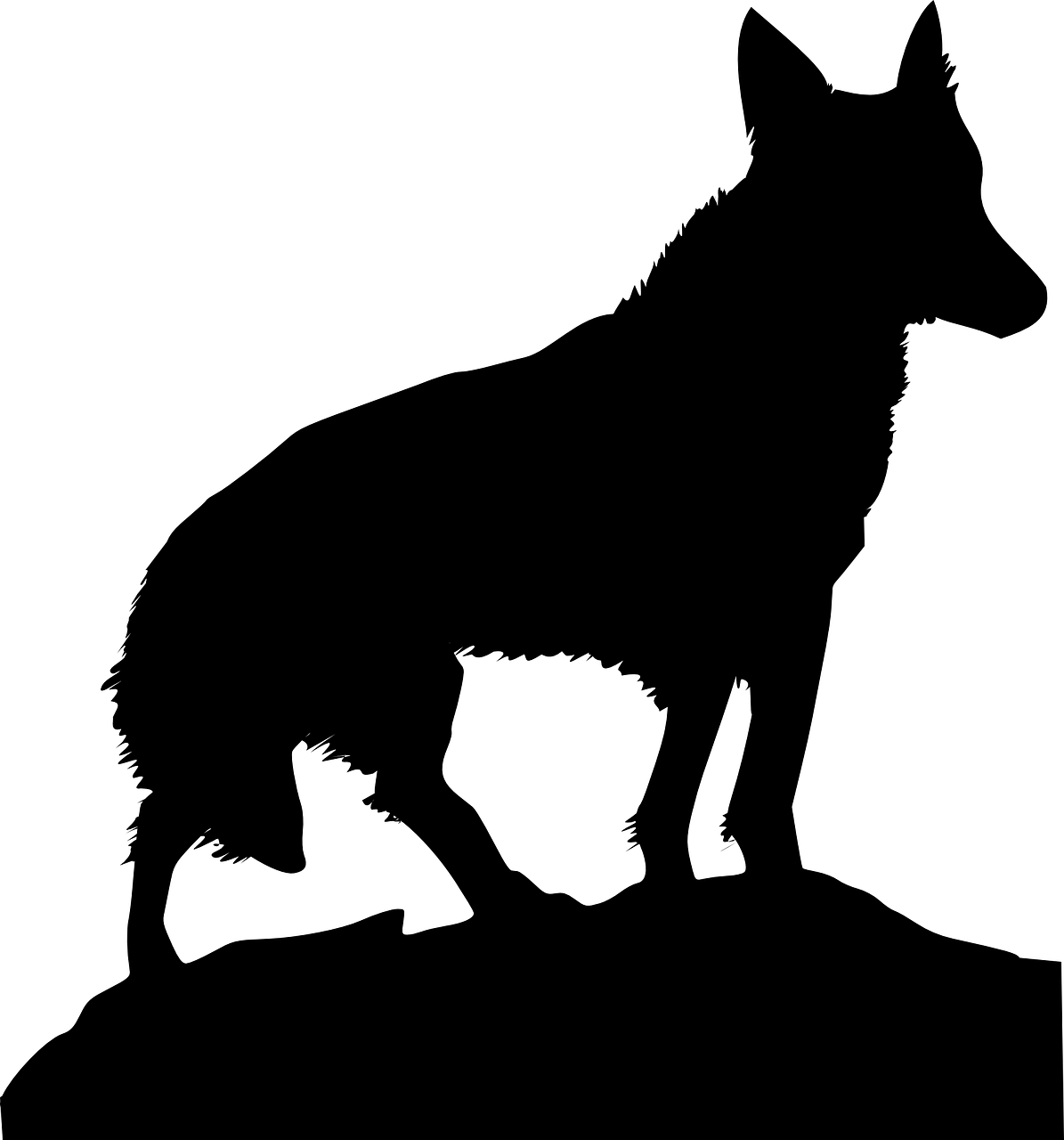 black-307873_1280