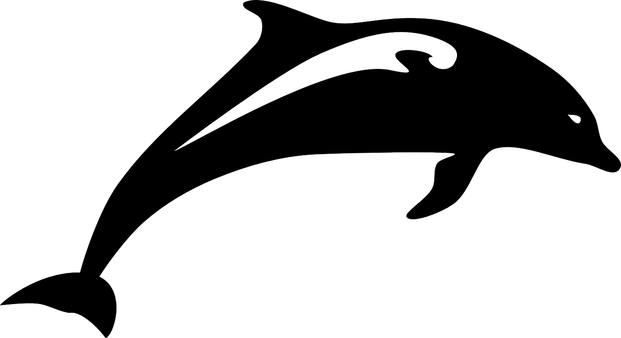dolphin-152992_1280